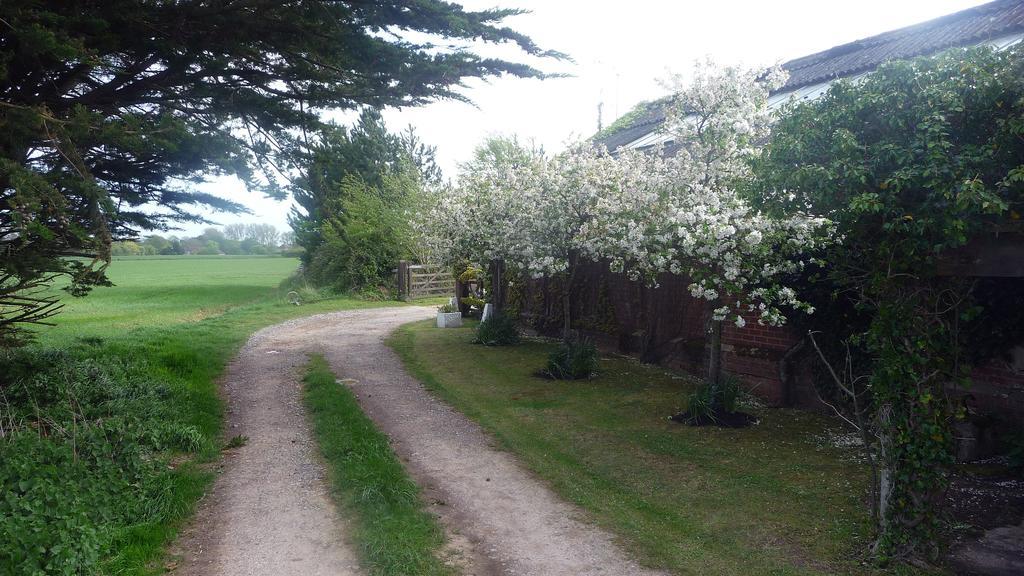Lockgate Dairy Bed and Breakfast Τσίτσεστερ Εξωτερικό φωτογραφία